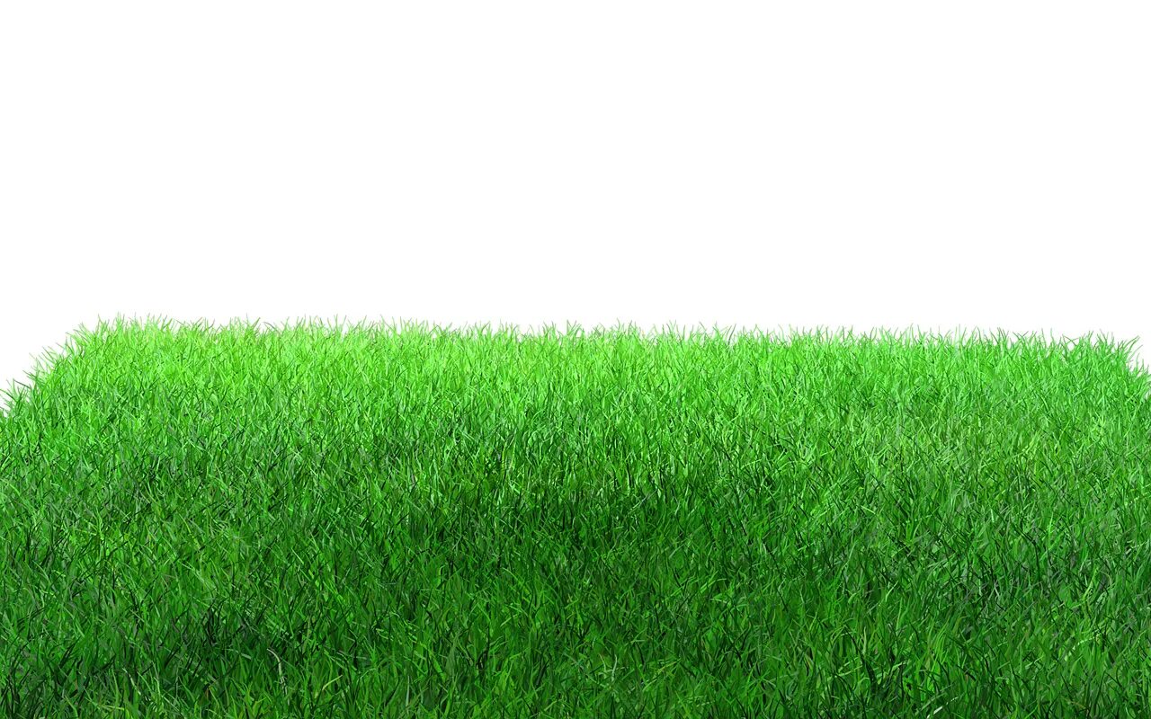 Без травяной. Трава фото. Без травяной. Скошенная трава. Газон грин медоу.