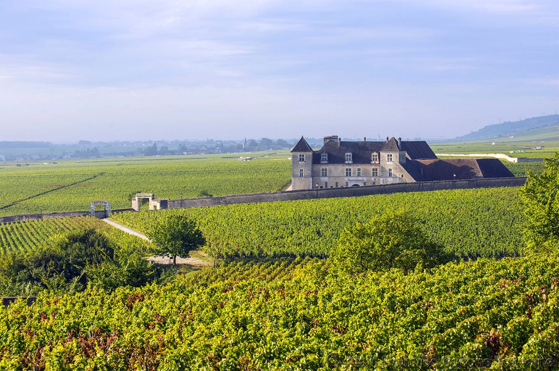 Нормандия шампань. Бургундия регион Франции. Терруар бугрундия виноградник. Бургундия – Франш-Конте вино. Виноградники Бургундии.