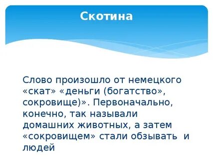 Слово скотина