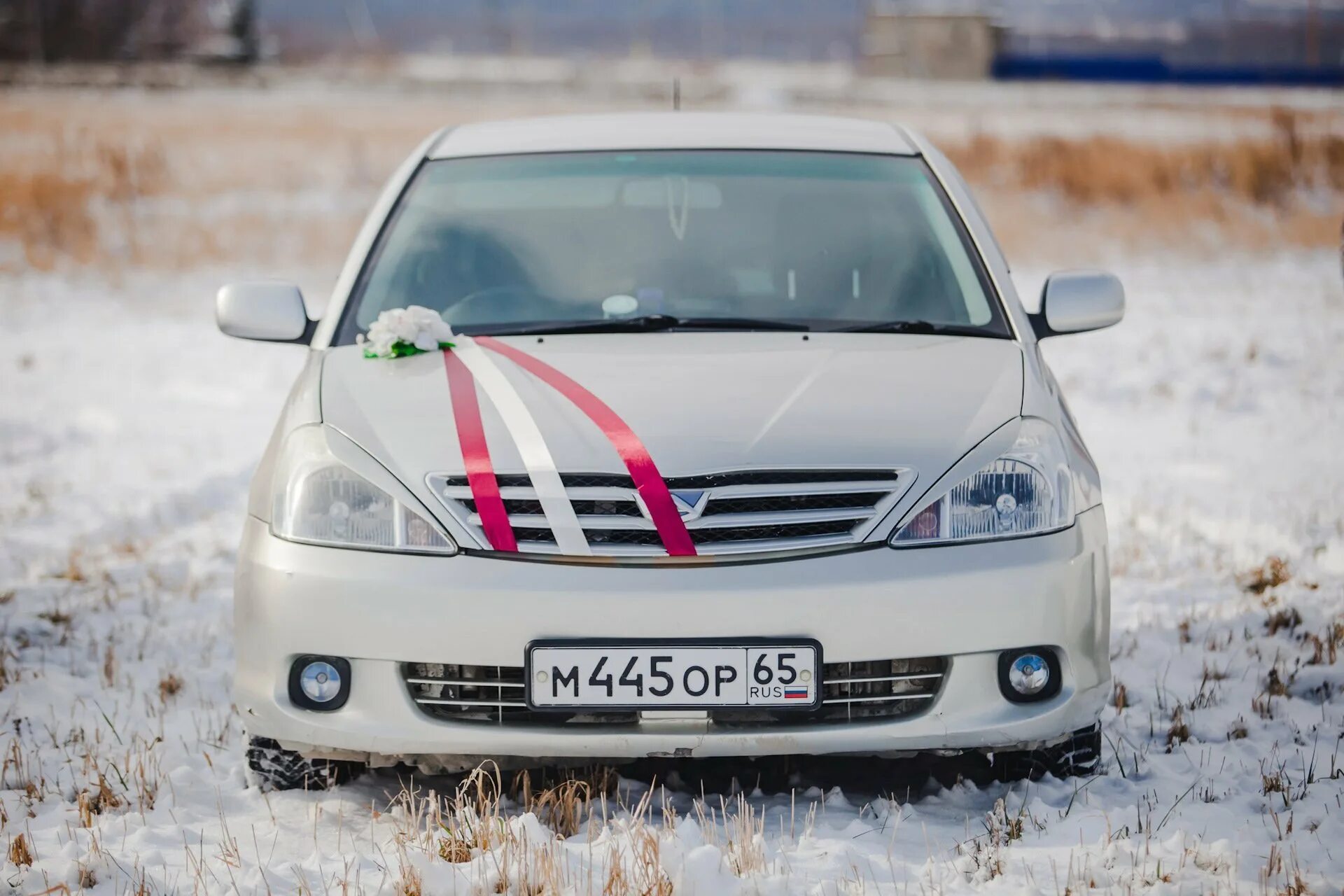 Тойота премио тонированная. Тойота премио 2008. Тойота премио 2008 тойота аллион 2008. Toyota premio 240 на литьё. Тойота премио 2002.