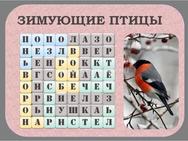 Найти слово птицы 3. Филворд зимующие птицы для детей. Кроссворд зимующие птицы. Зимующие птицы кроссворд для детей. Ребусы про зимующих птиц.