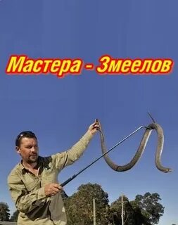Змеелов корень