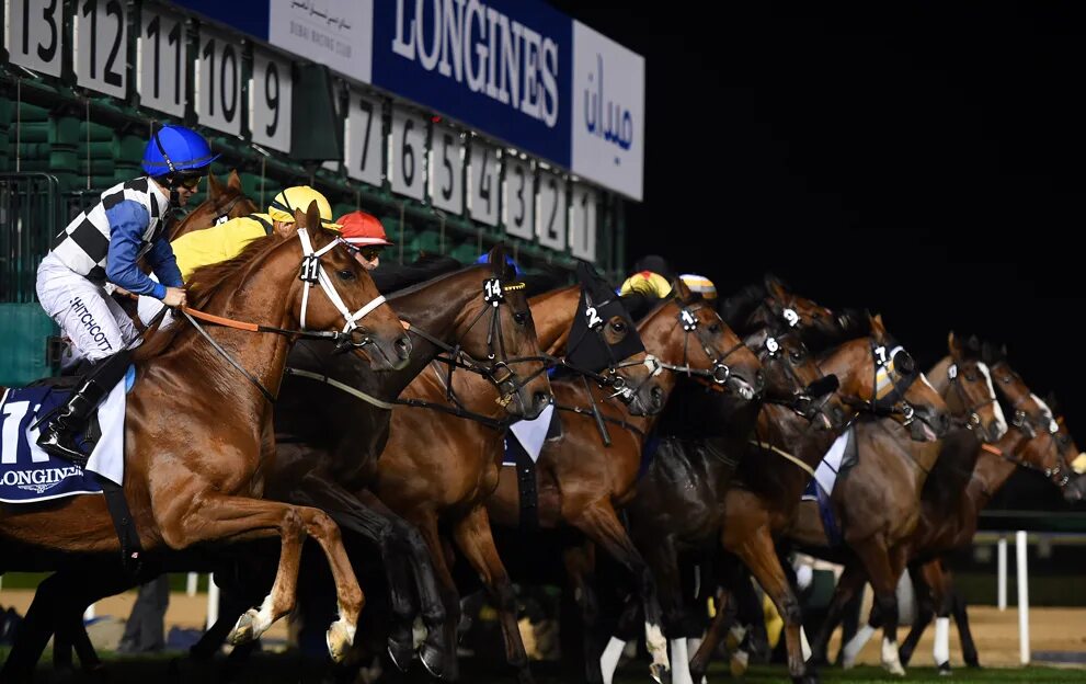 Ипподром в дубае. Скачки дубай 2024 год. Конные бега 2022. Dubai racing carnival. Скачки дубай 2024 год.