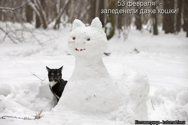 Опять снег. С первым утром февраля. Торчит из сугроба. Наконец февраля. Приколы про снег.