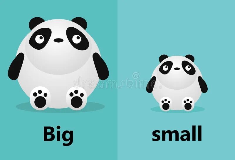Big small the cat is. Big small. карточки big small. big small для детей. big little английский.