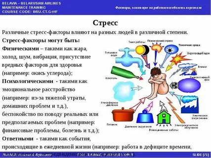 Все факторы человека в обществе