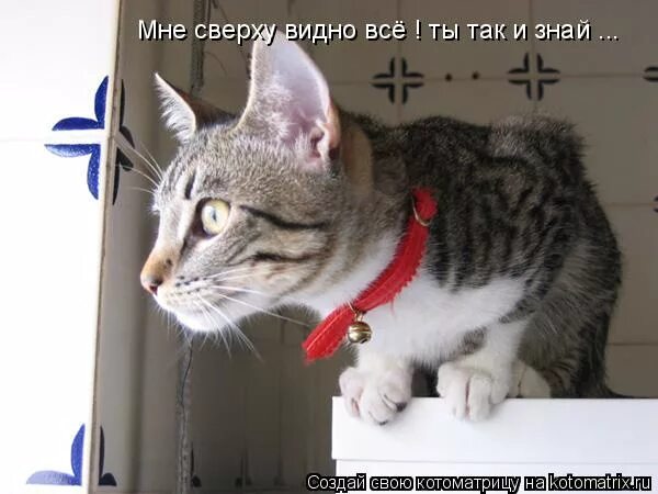 Видно верх. Мне сверху видно все ты так и знай. мне сверху видно все. мне сверху видно все картинки. я все вижу сверху.