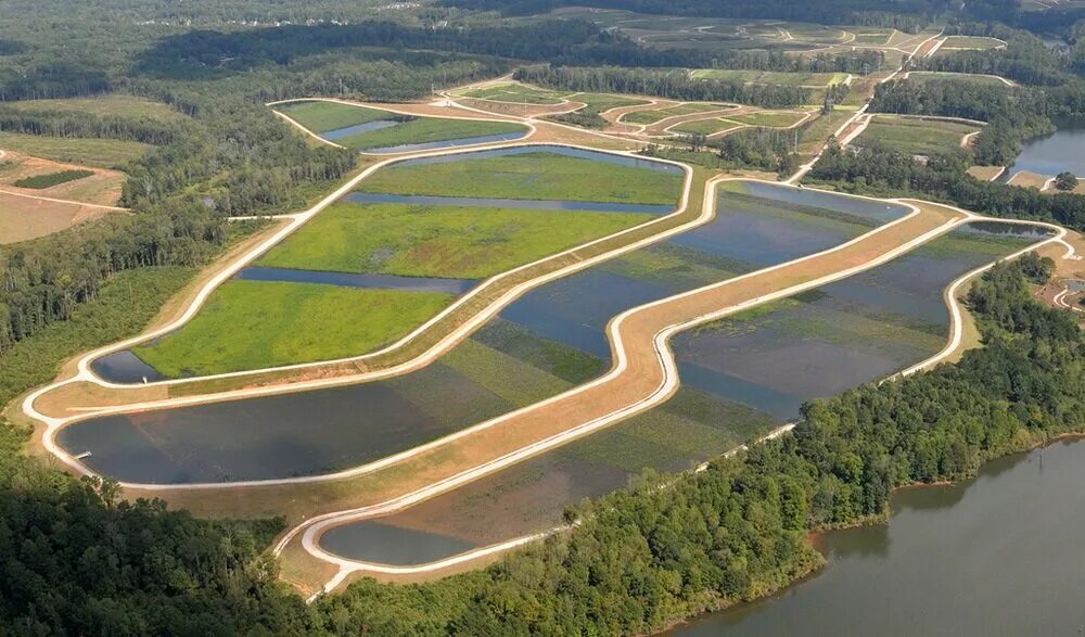 Фито очистные сооружения. Искусственные Ветланды. Constructed Wetlands. Водные угодья с эйхорнией.