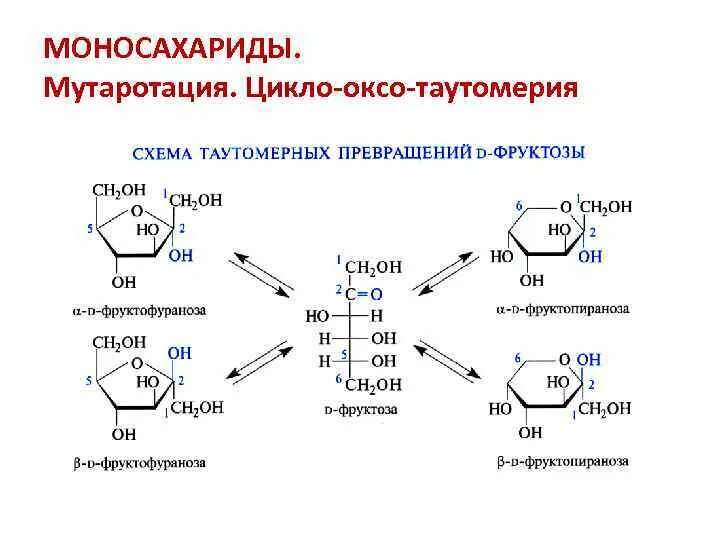 Схема таутомерных превращений фруктозы. Схема таутомерных превращений d-фруктозы. Цикло-оксо-таутомерия Глюкозы. Цикло-оксо-таутомерия моносахаридов. Гидроксильные группы фруктозы