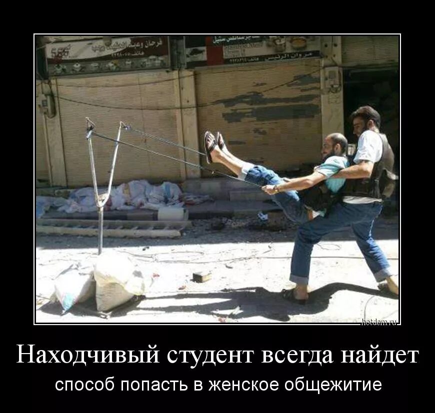 Презентацию подготовил студент. Смешные стихи про студенческую жизнь. Студент всегда студент. Курские студенты мем. Анекдоты про студентов в картинках.