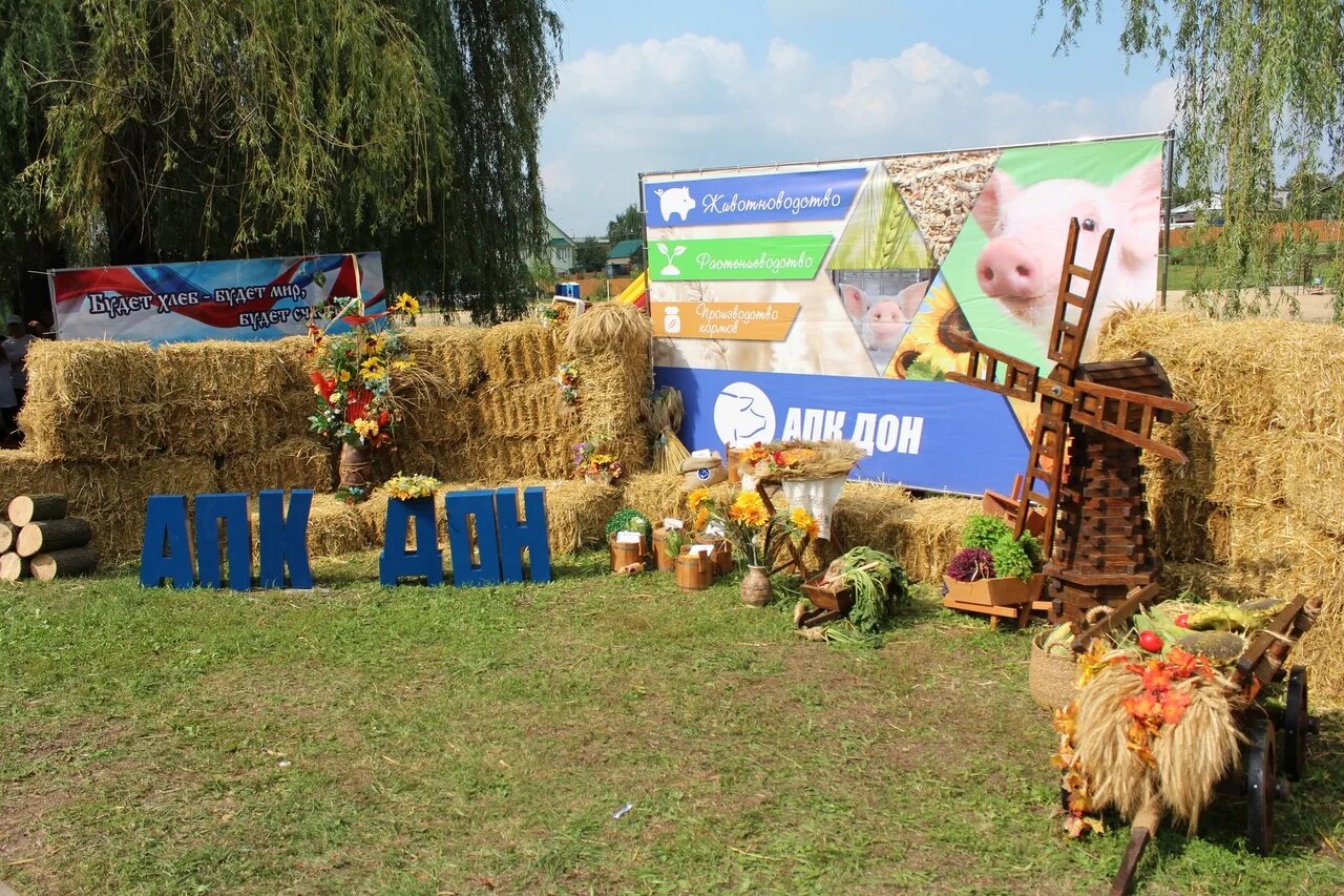 День города алексеевка белгородской. День города алексеевка. Алексеевка день. Алексеевка день. Праздничные мероприятия в городе алексеевке белгородской области.