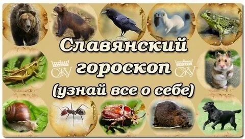 Животное по славянскому календарю по дате