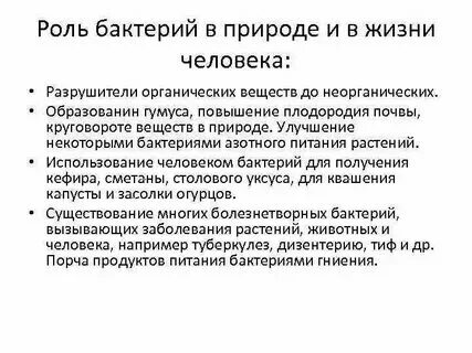 Роль и значение бактерий в жизни человека