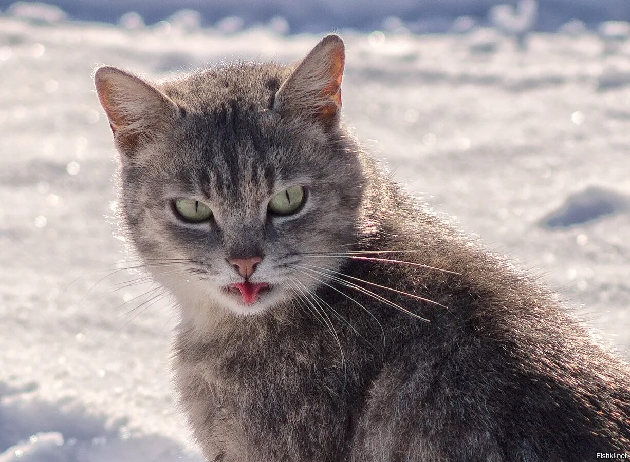 Это прачечная анекдот. Эйс вентура мэм. Через 10 минут. Объедешь. Объедешь.