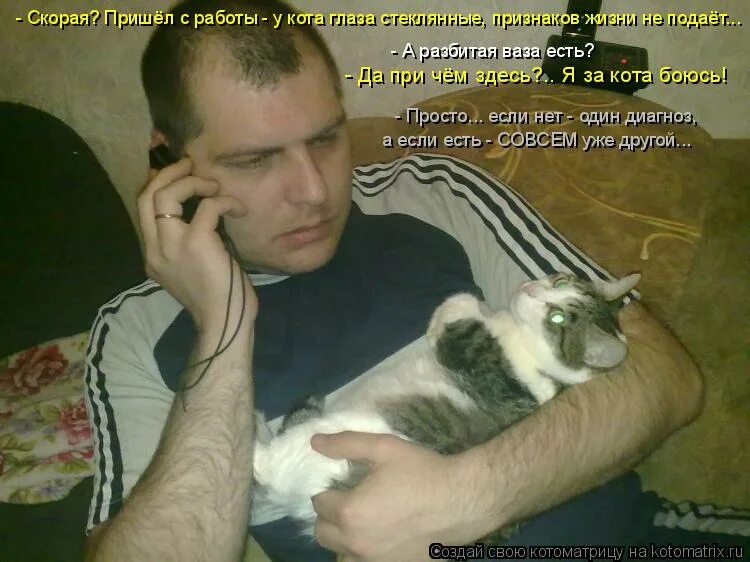 Смешные коты с надписями. Кот хозяева пришли. Смешные коты с надписями. Кошка пришла в дом. Кот пришел.