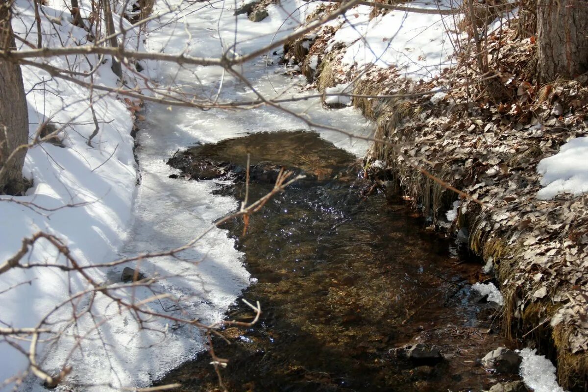 Ручей весело бежал. Бегут ручьи Журчат. Ручьи весной. Весенние ручьи.