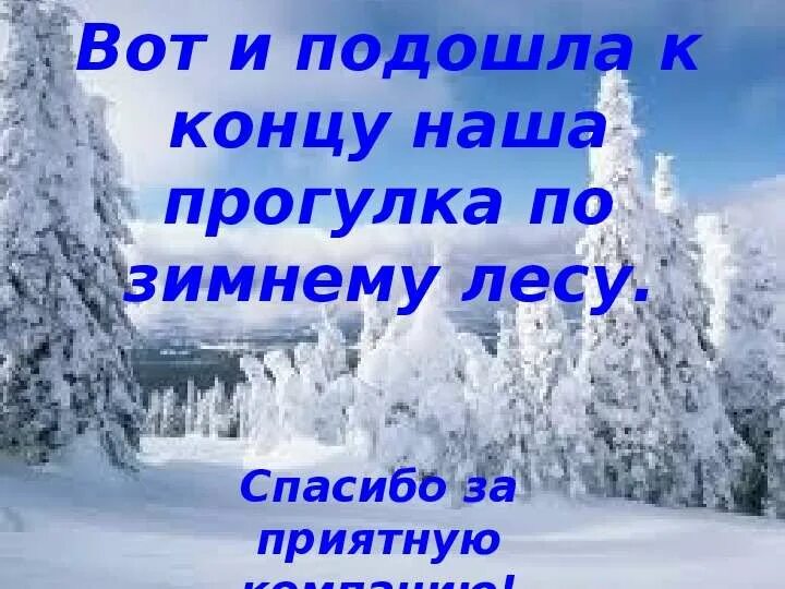 Прогулка в зимнем парке