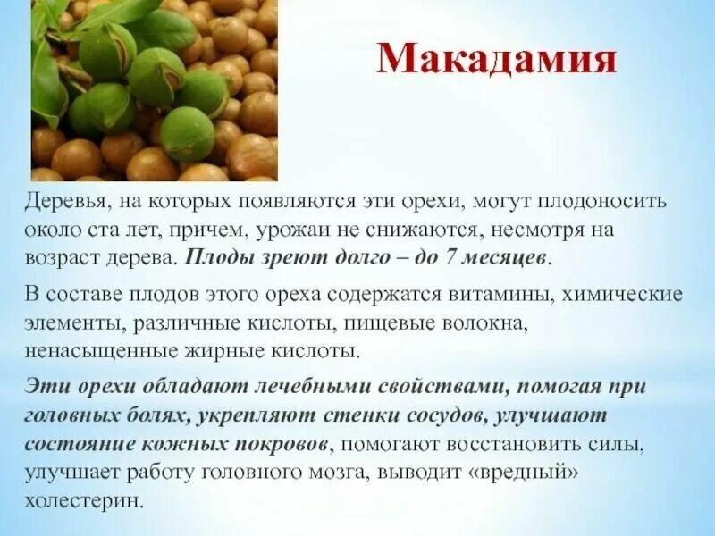 Макадамия орех свойства для мужчин