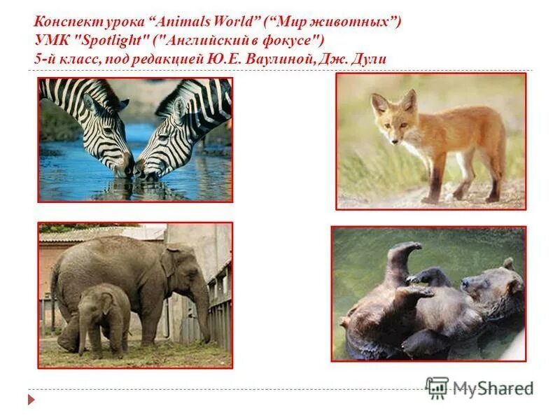 Животные урок 5 класс. Уроки про животных. УМК животные. Тема урока animals in the World. Мир животных 5 класс конспект.