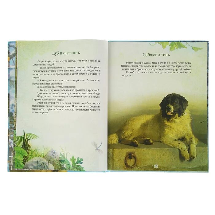 Толстой про собаку. Лев и собачка Лев Николаевич толстой книга. Толстой рассказ про собак. Рассказ о собаке л. Толстого.
