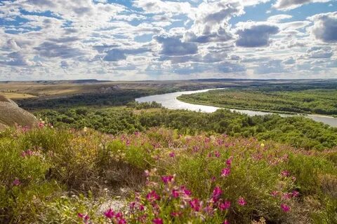 Красноярский край ростовская область
