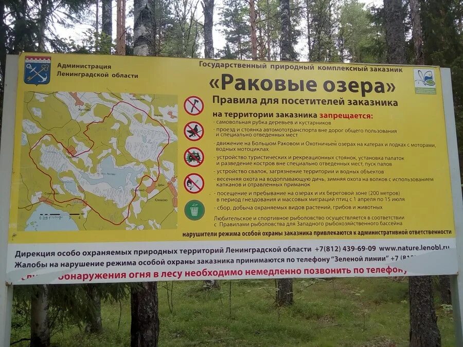 Раковые озера спб. Заказник раковые озёра экотропа. Государственный природный заказник раковые озера. Раковые озера экотропа. Раковые озера ленинградской.