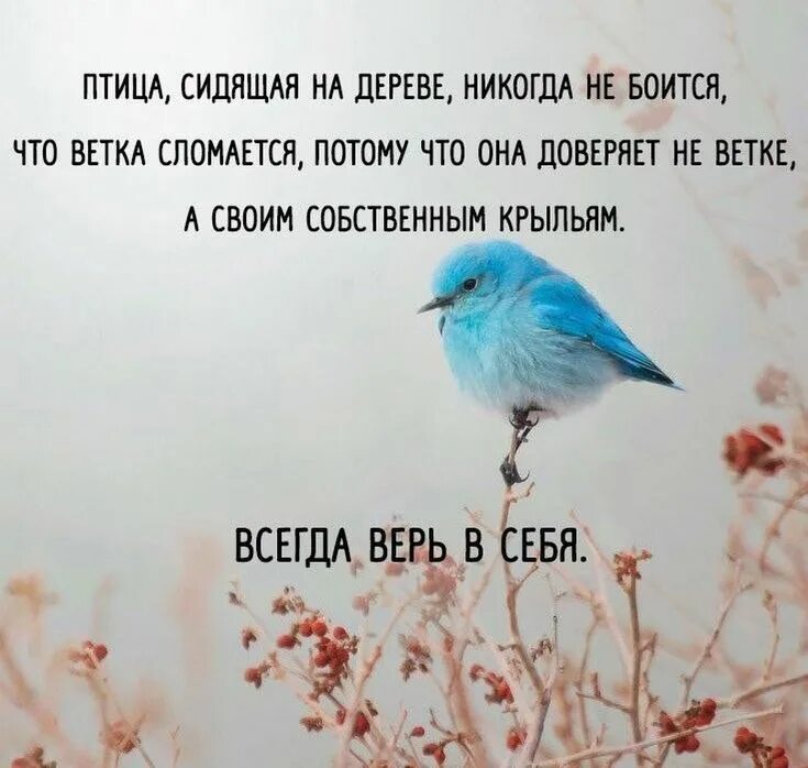 Не бойтесь поверить