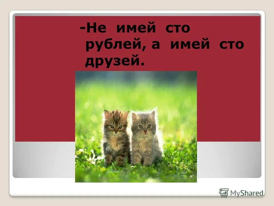 Не бывает сто друзей. Не имей 100 рублей а имей 100 друзей. Пословицы не имей СТО рублей а имей СТО друзей. Пословица не имей 100 рублей а имей 100 друзей. Рисунок по пословице не имей СТО рублей а имей СТО друзей.