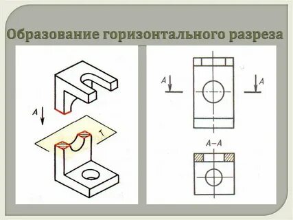 Вертикально фронтальный разрез