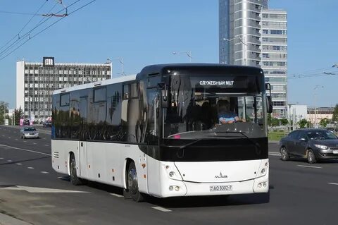 73 автобус минск