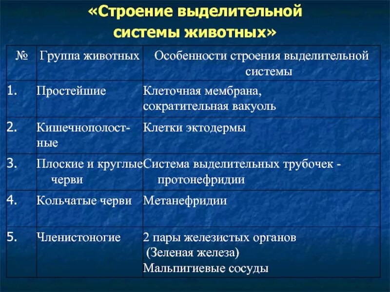 Органы животных 6 класс. Таблица особенности строения выделительной системы животных. Таблица по биологии выделительная система животных. Органы выделения животных таблица. Выделительная система животных таблица 6 класс.