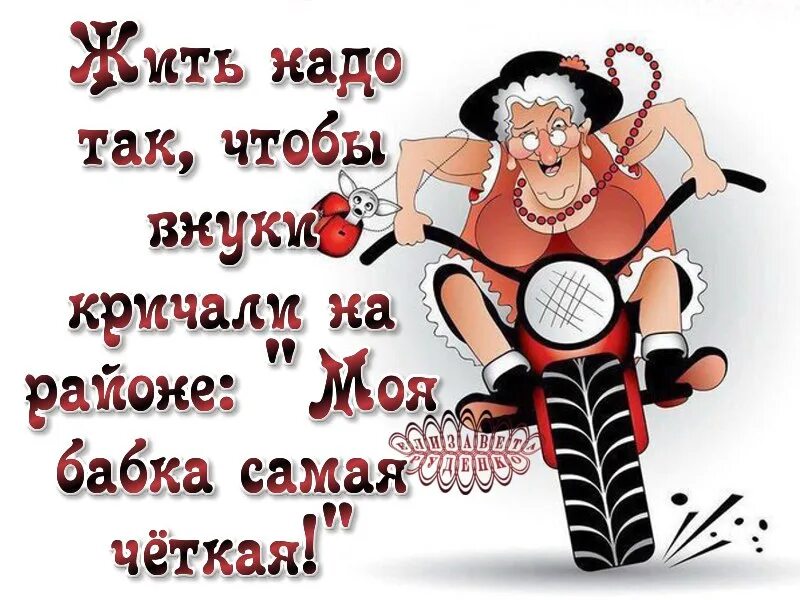 Я бес когда бабки есть. Жить надо так чтобы. Жить надо так чтобы старухи-. Жить надо так чтобы юмор. Я стала бабулей прикольные картинки.