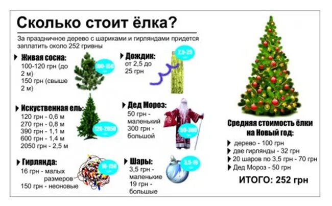 Чтоб елка долго стояла. Сколько стоит елка. сколько стоит живая елка. чтобы елка долго стояла. сколько стоит ель на новый год.