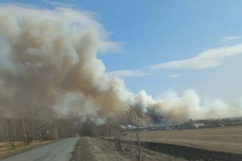 Курганская область последние новости. Ландшафтный пожар. Пожар фото. Логовушка Курган пожар. Пожар в деревне.