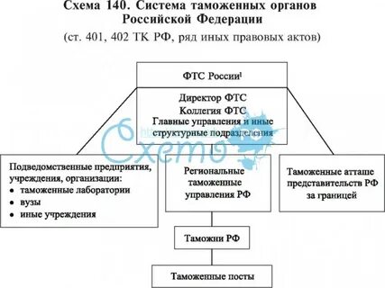 Система таможенных органов