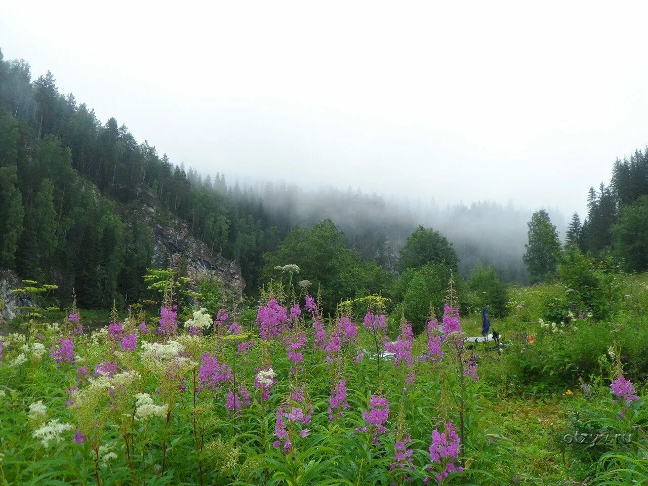 Природа урала летом. Лето 2024 года на урале. Природа южного урала лето. Таежные просторы западной сибири. Башкирия природа луга.