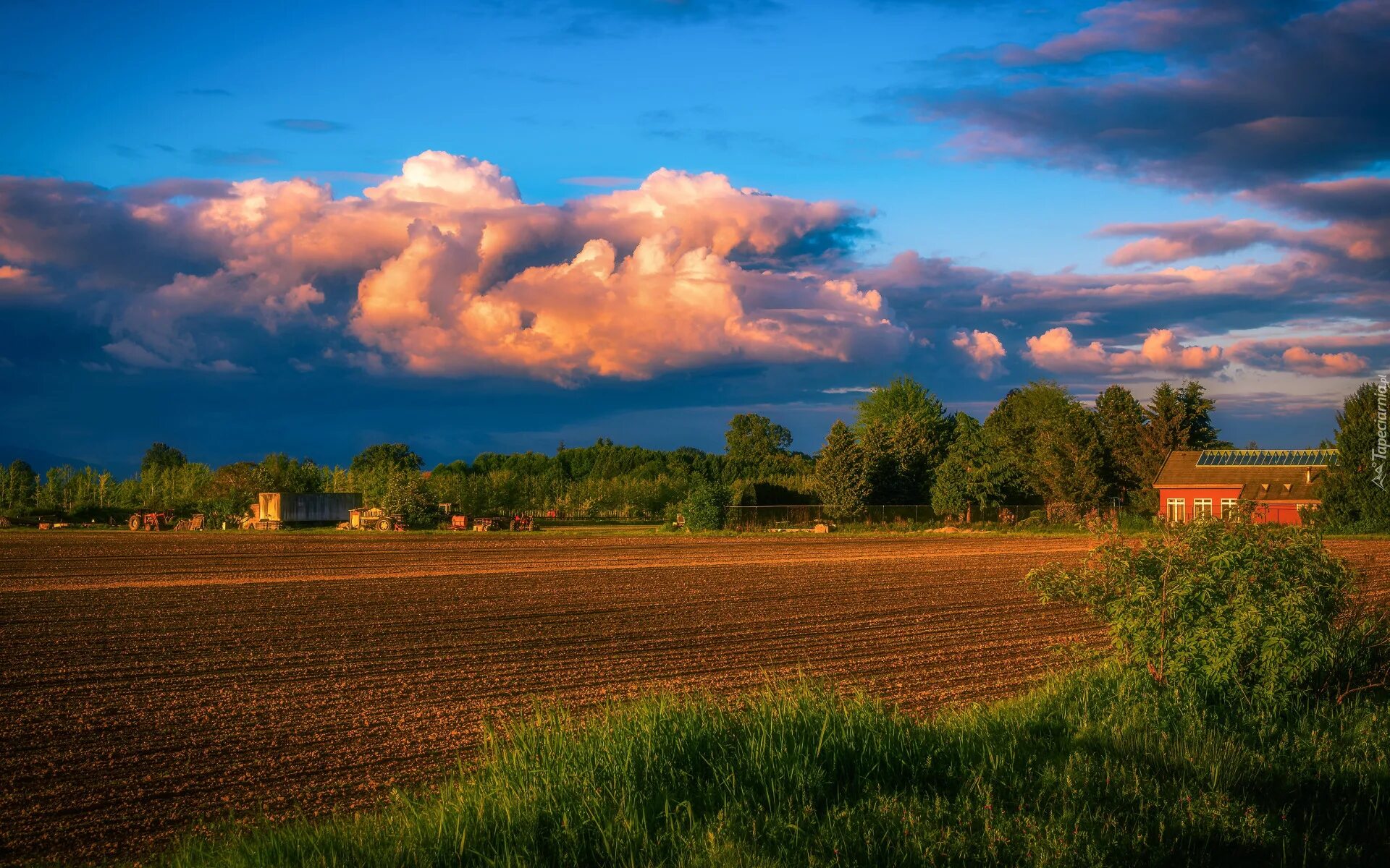 Взаимосвязь почв растительности и климата. Измерение температуры почвы. Теплая почва. Росток из земли. Тепловой режим почвы.