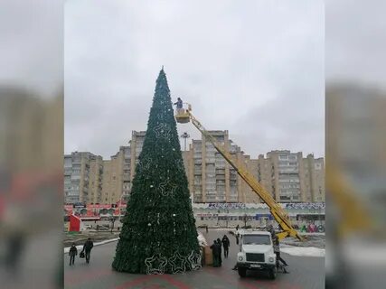 Поставить елку 24 декабря