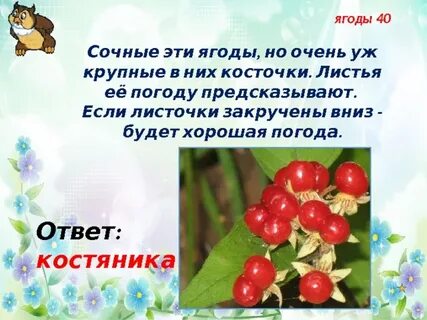 Костяника песня