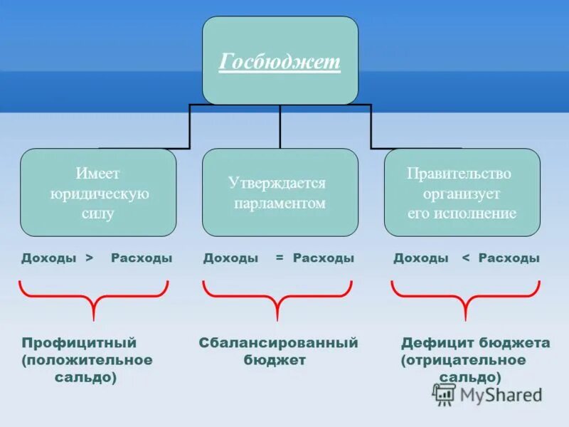 государственный бюджет утверждает парламент страны