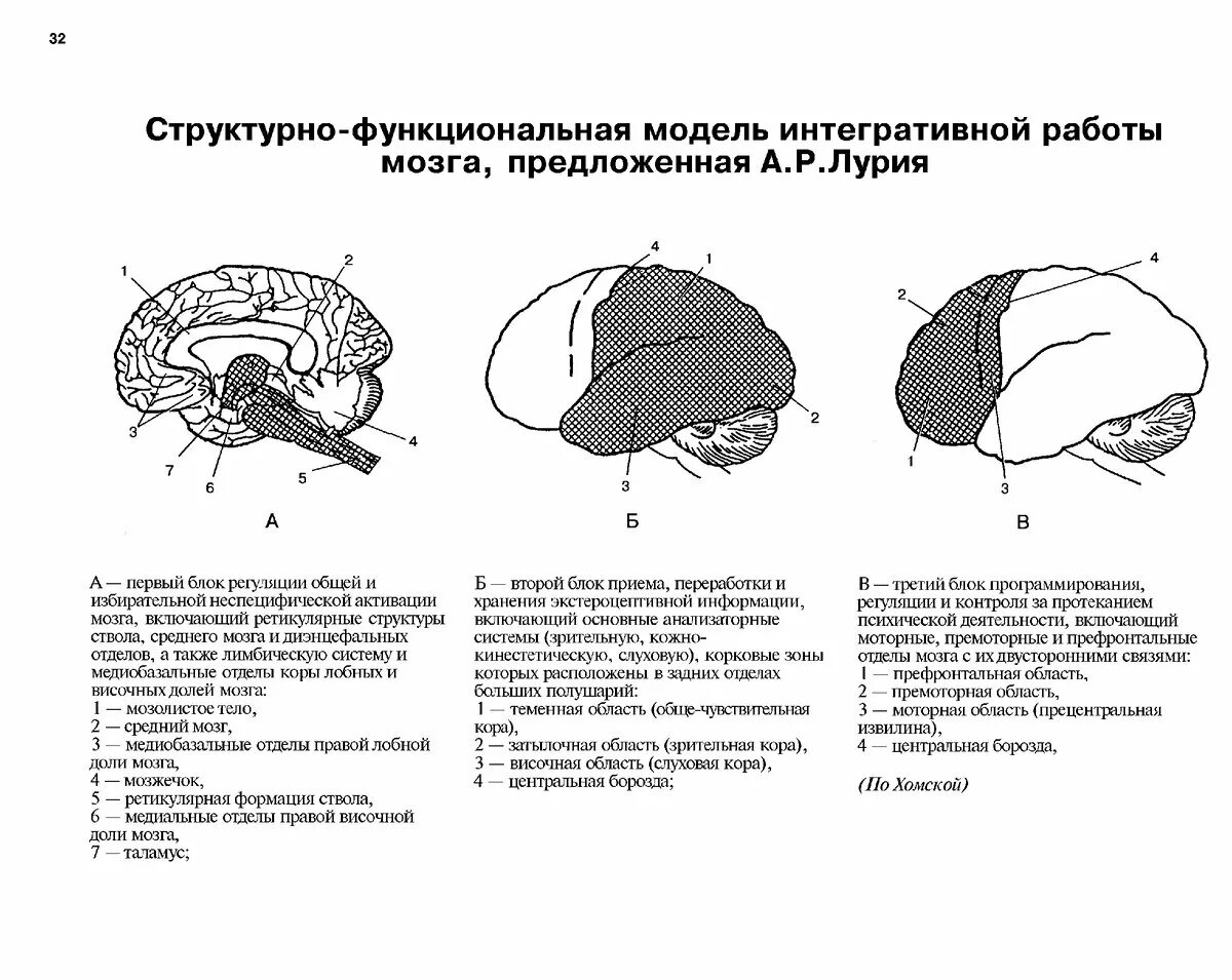 Нарушения блоков мозга. Структурно-функциональная модель мозга по а.р Лурии. Второй функциональный блок мозга по Лурия. Функциональные блоки мозга Лурия. Схема блоки мозга Лурия.