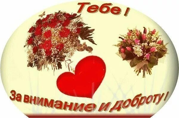 Спасибо за добро и тепло. Открытки спасибо за внимание и доброту. спасибо за внимание и доброе сердце. спасибо за доброту картинки. благодарю за внимание и доброту.