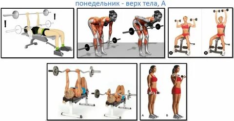 Комплекс тренировок в зале для девушек тренажерном