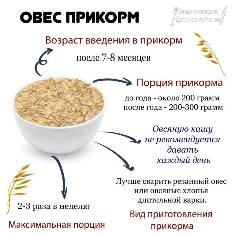 Как сварить молочную овсяную кашу. Как варить овсяную кашу. порция геркулесовой каши. порции и варки овсяной каши. овсяная каша для грудничка.
