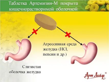 Кишечнорастворимая оболочка
