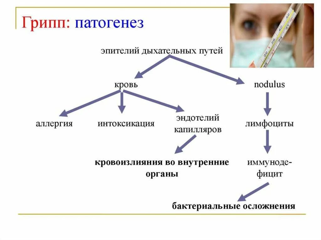 Патогенез острых респираторных заболеваний. Острые респираторные вирусные инфекции патогенез. Патогенез респираторных вирусных инфекций. Патогенез вируса гриппа.