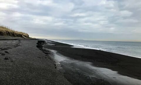Халактырский пляж камчатский край петропавловск камчатский отзывы