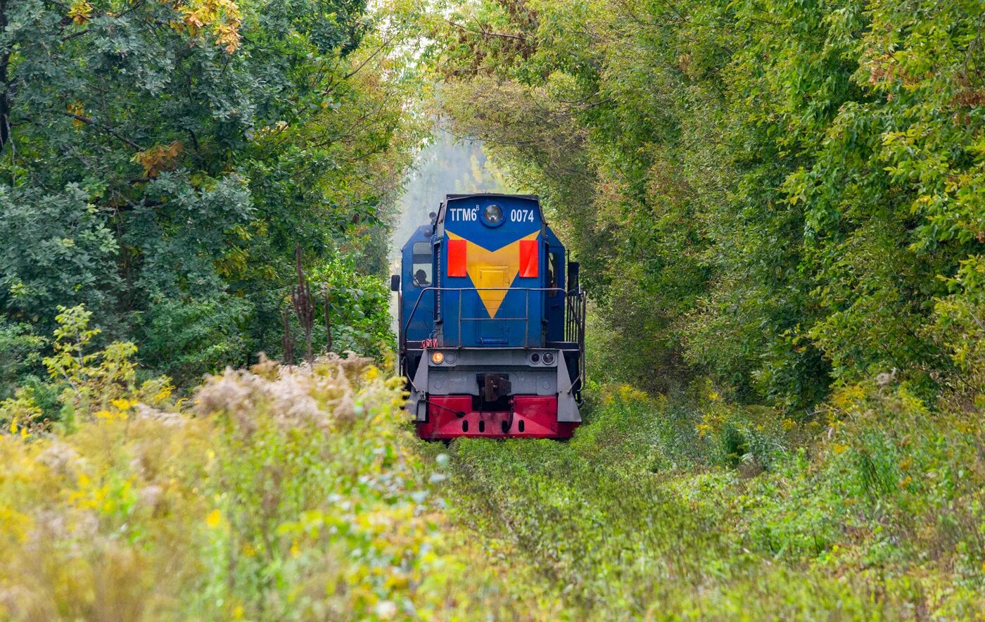 Ппжт ногинск. Ногинское ППЖТ. Купавинское ППЖТ. ППЖТ Купавна. ППЖТ Жуковский.