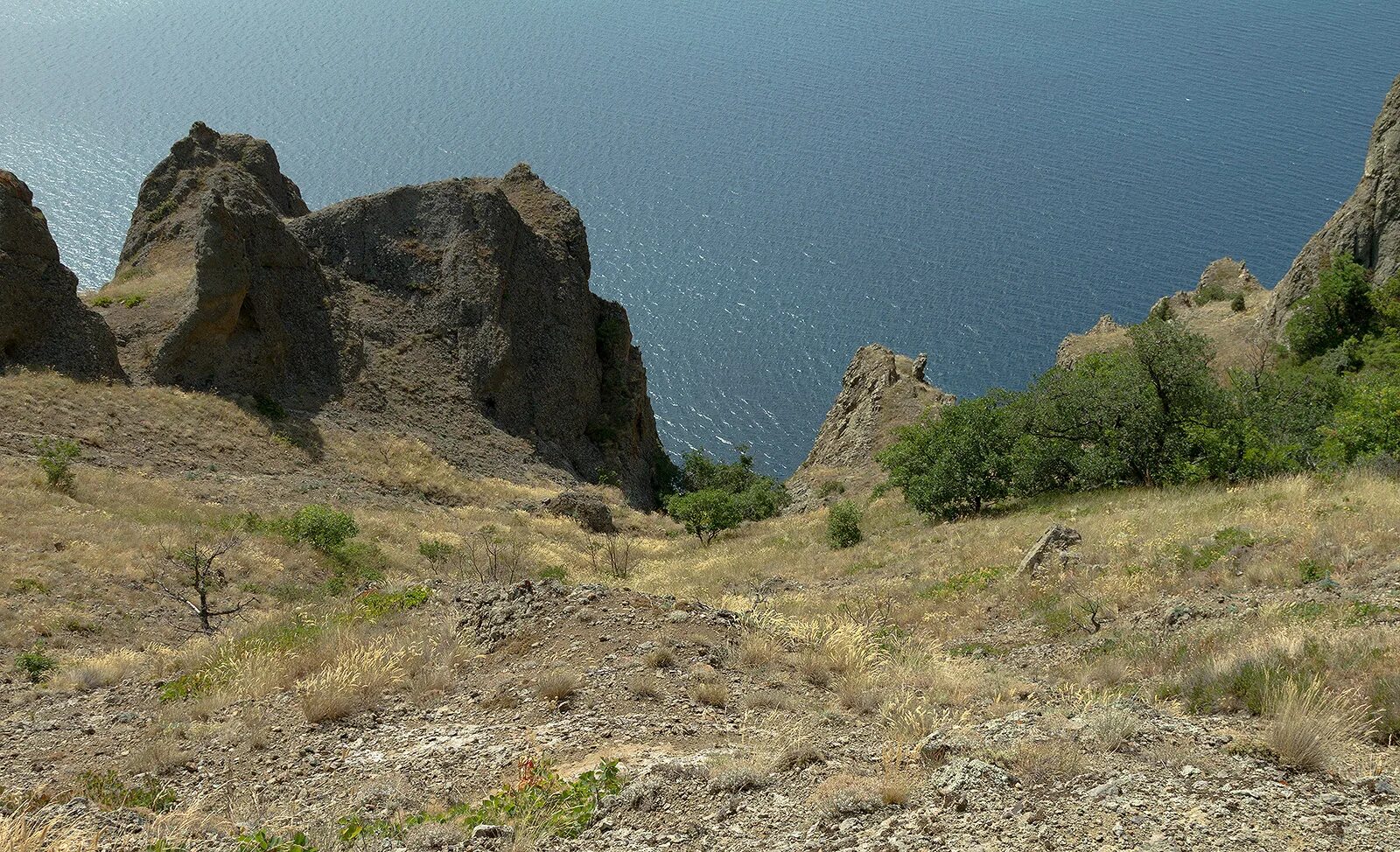 Где в крыму заповедники. Карадагский заповедник. Карадагский лес Крым Севастополь. Карадагский хребет Лисья бухта. Феодосия заповедник.