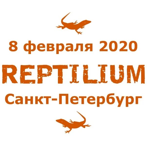 Рептилиум билеты. Рептилиум. выставка рептилиум. рептилиум 2025.